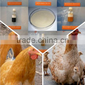 chicken broiler layer feed additive