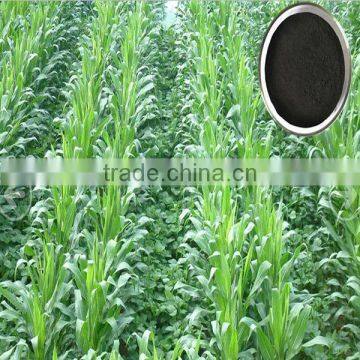 powder Alginic Acid Sources Seaweed Extract Fertilizer for Soil Application