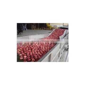 Industrial Vegetable and Fruit Washing Machine photo-2
