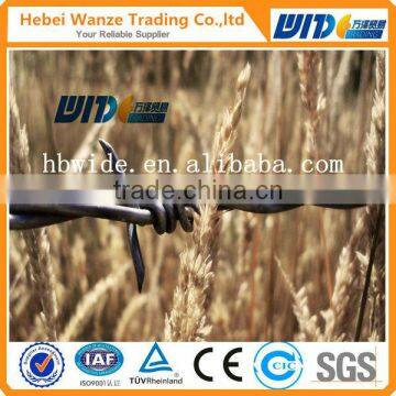 High quality weight prison anti climb design high tensile steel barbed wire