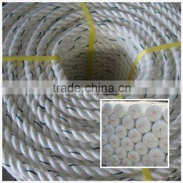 Blue and White Nylon Rope