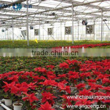 Commercial Glass Greenhouse For Flowers