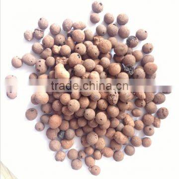 Expanded Clay Aggregate Lightweight Used for Flower Bonsai Without Soil Cultivation