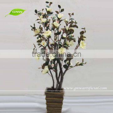 GNW BLS034 Magnolia Bonsai Tree Wedding Hotel Reception Trees For Sale