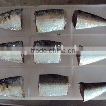 frozen sardine