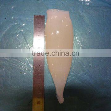 HACCP,QS Certification Frozen Illex Squid Tube photo-4