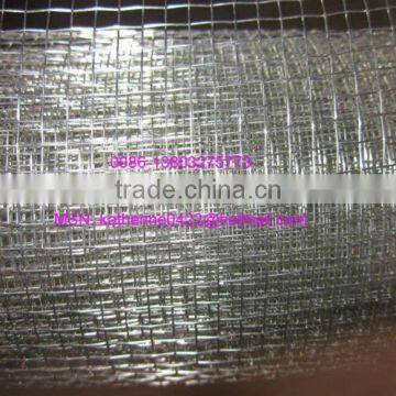 Electro galvanized square wire netting