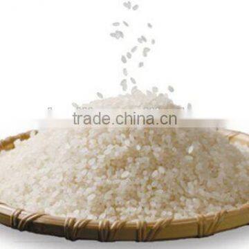 Rice Vermicelli Hot Selling in Thailand photo-4