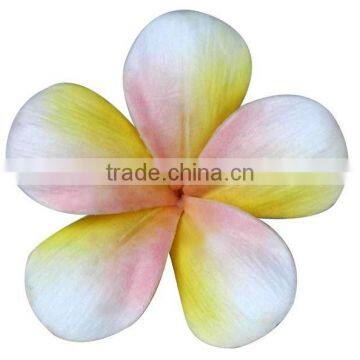 Plumeria frangipani flower head realistic look flower