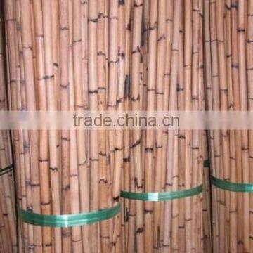 Rattan Kerai cane