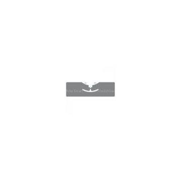 Custom Command UHF Labels Alien ALN-9654 UHF RFID Tag