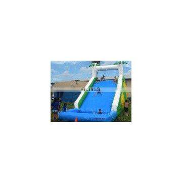 inflatable water slide with water pool