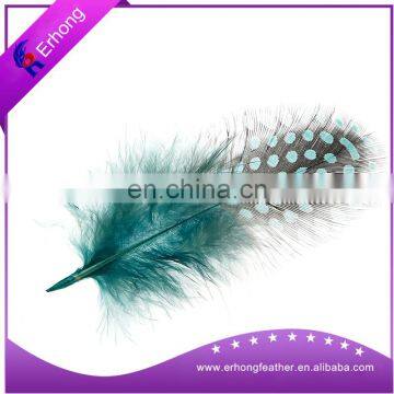 natural guineafowl feather turkey feather for sale