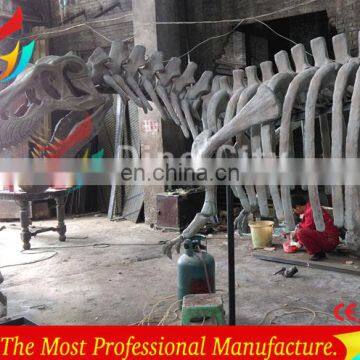 Full Size High Realistic Museum Quality Dinosaur Skeleton photo-3