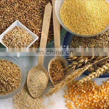 Hammer Grinder Small Hammer Mill Feed Grinder photo-4