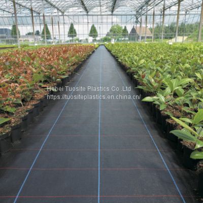 Strawberry Fram Ground Control Breathable Permeable Black Woven Ground Cover Protection Weed Mat