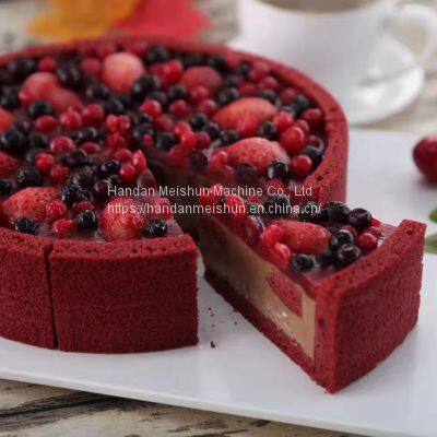 Round Cake Divider Inserts for Industry Baking Shop