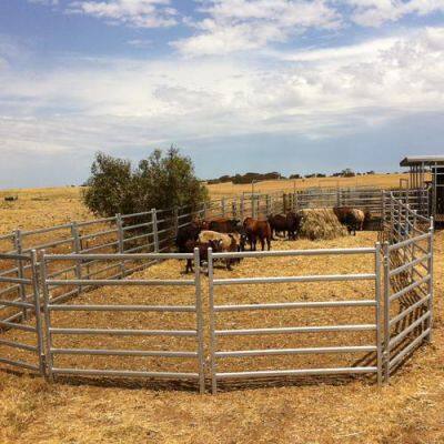 Steel Cattle Yard/Livestock Fence/Corral Fencing Panels to a Number of Cattle Yards photo-3
