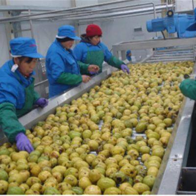 Low Cost Screw Conveyor for Complete Food Processing Line