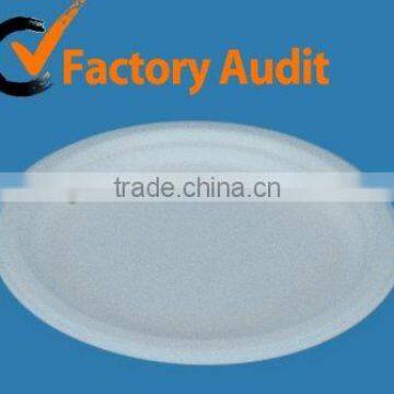 Disposable Green Bagasse Plate