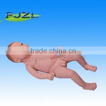 human infant Newborn Baby Dolls model for study