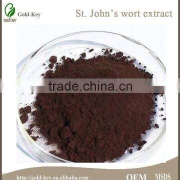 Hypericum Perforatum Extract, St.John's Wort Extract Powder photo-2