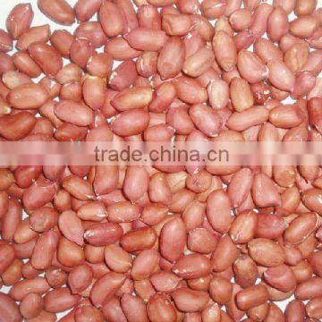 Chinese Peanut Kernels 24/28 28/32 34/38