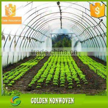 100% PP Spunbond Nonwoven Agriculture Fabric for Garden /green Plant /and Flower Use photo-3