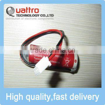 Original ER6 3.6V AA