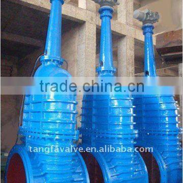 cast iron rising stem gate valve