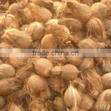 Good Taste Fresh Semi Husk Cococnuts