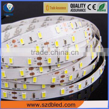 Best price waterproof 3528 240 led/m strip