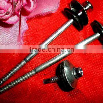 120mm Galvanized Roofing Nail photo-4