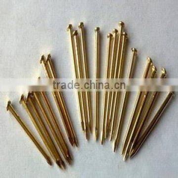 Common Nails/Nail, Common wire nail, Common iron Nails