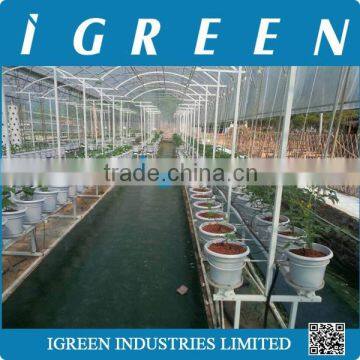 Dutch Pot Vegetable Growing System photo-2