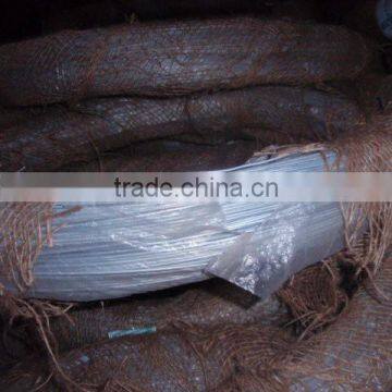 Electro Galvanized Wire From Beijing Manufacturer