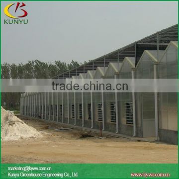 P96VD435 Arch roof type poly carbonate greenhouse acrylic greenhouse