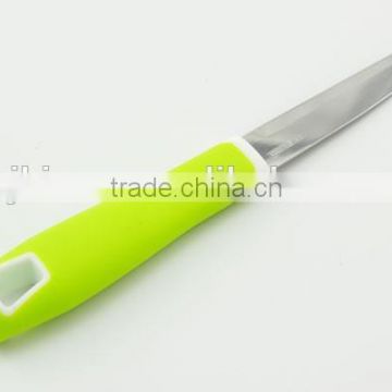 Lightweight stainless steel paring knife with plastic handle