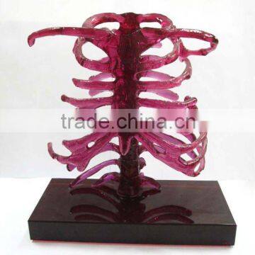 crystal skeleton statues--home decoration craft--BJ159