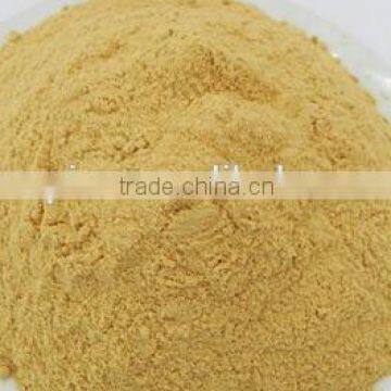 100% Natural Yellow Ginger Powder