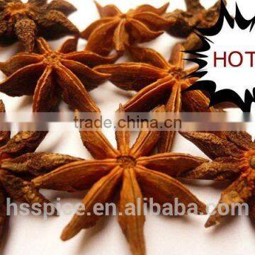 Hot Saleing in Southeast Asia------- Aniseed Supplier