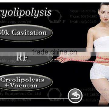 Multifunctional Body Shaping Kryolipolise photo-4
