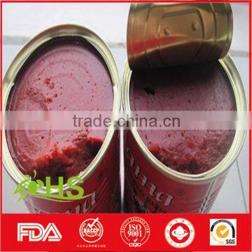 2016 New Canned Tomato Paste photo-4