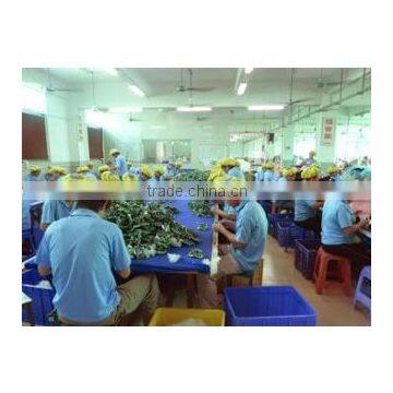 Shenzhen Zhenyan Toy Gift Co., Ltd.