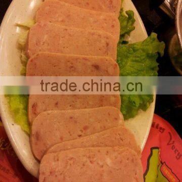 Professional canned beef meat