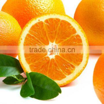 Orange Syrup photo-2