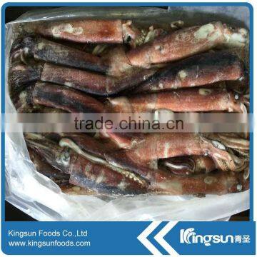 Todarodes pacificus japanese sea squid frozen whole price