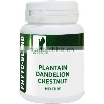 Phyto-blend "Plantain, dandelion, chestnut mixture"