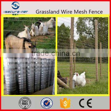 New Design Cattle Fence Machinery Made in China photo-4