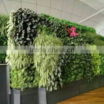 SJ1801298 Resturant Decoration Green Plant Walls photo-3
